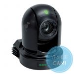 BirdDog Eyes P200 Black Kaufen