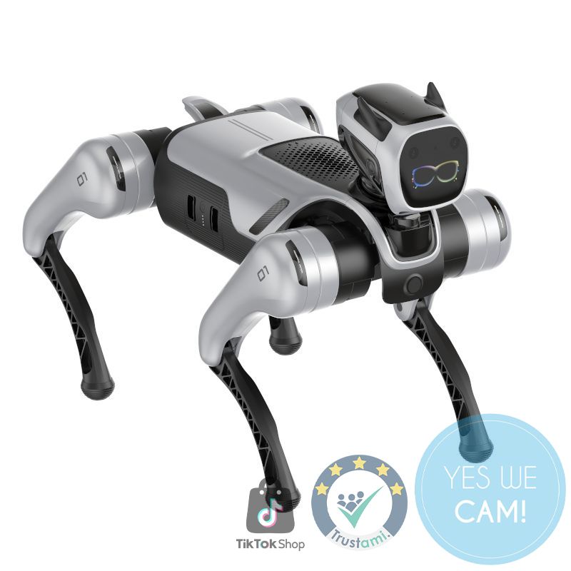 MagicDog PRO Hinderniserkennung 