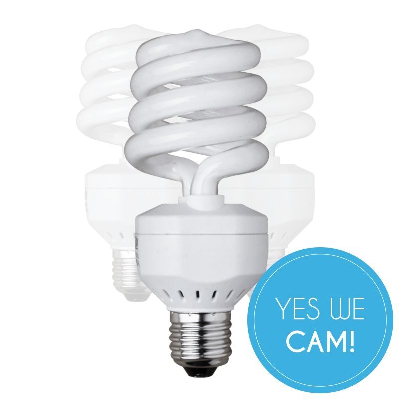 Walimex Spiral-Tageslichtlampe 25W