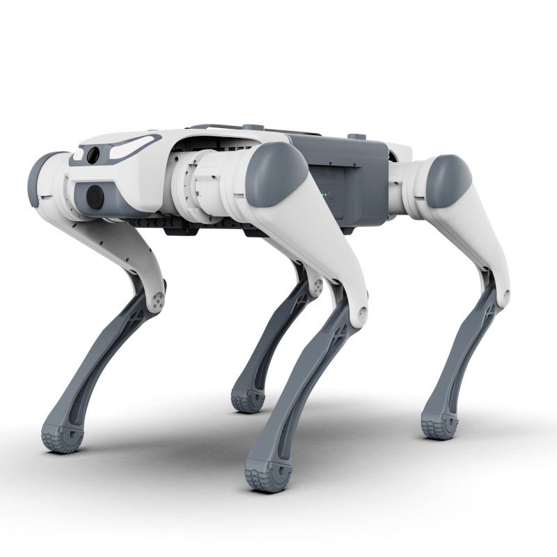 DEEP Robotics SID1 Basic